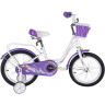Детский велосипед TECH TEAM FIREBIRD 20